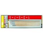 Set Pensule Pictura Late