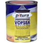 Vopsea Pitura Verde Luminos 600 Ml