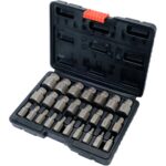 BIȚI PENTRU EXTRAS ȘURUBURI DETERIORATE, 25 PIESE