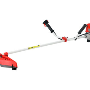 MOTOCOASĂ PE BENZINĂ